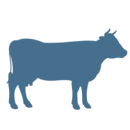icon-130x130-cattle-blue